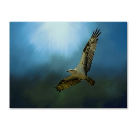 Jai Johnson 'Osprey In The Evening Light' Canvas Art,14x19